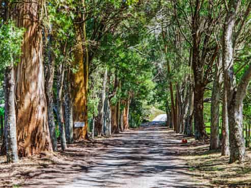 273 Mapara Road, Acacia Bay