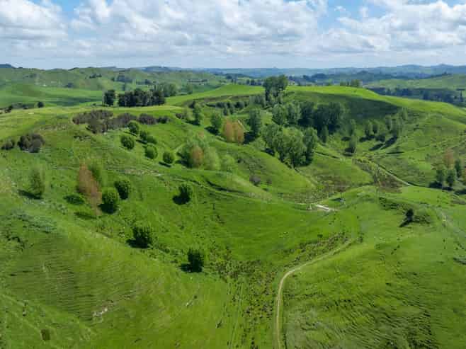 1163 Mangamako Road, Ohingaiti