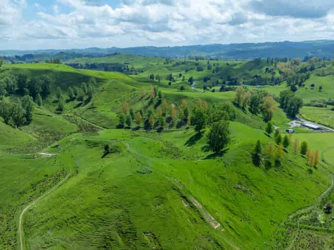 1163 Mangamako Road, Ohingaiti