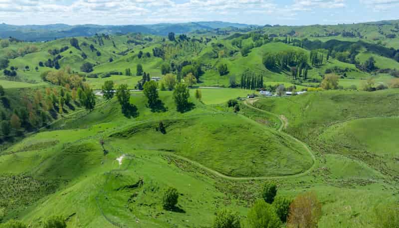 1163 Mangamako Road, Ohingaiti