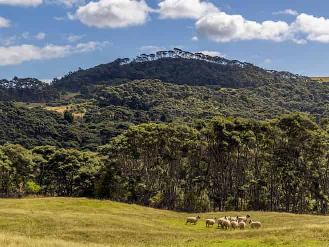  1223 Old North Road, Waimauku