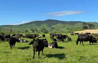 258 Paratu West Road, Richmond Downs