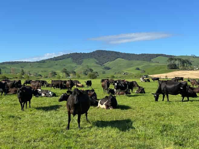 258 Paratu West Road, Richmond Downs