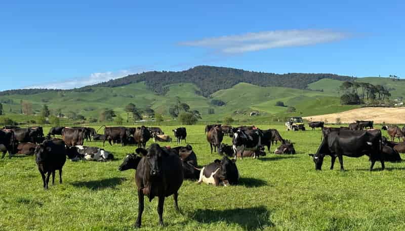 258 Paratu West Road, Richmond Downs