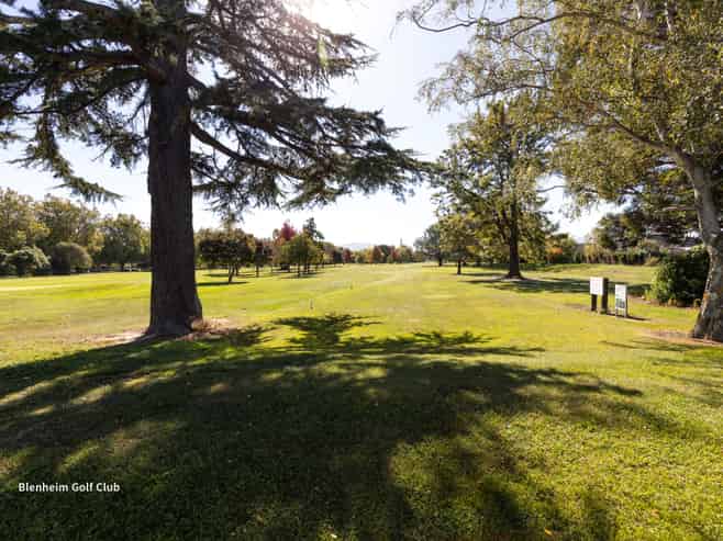 18 Girling Avenue, Mayfield