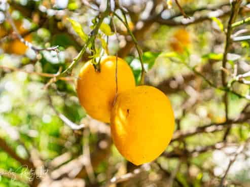 5A Whaka Street, Maungaturoto