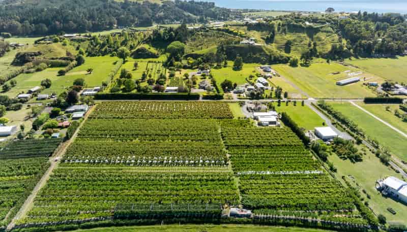 209 Onehunga Road, Bay View