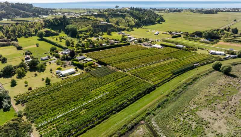 209 Onehunga Road, Bay View
