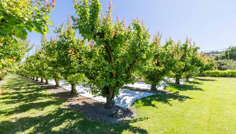 209 Onehunga Road, Bay View