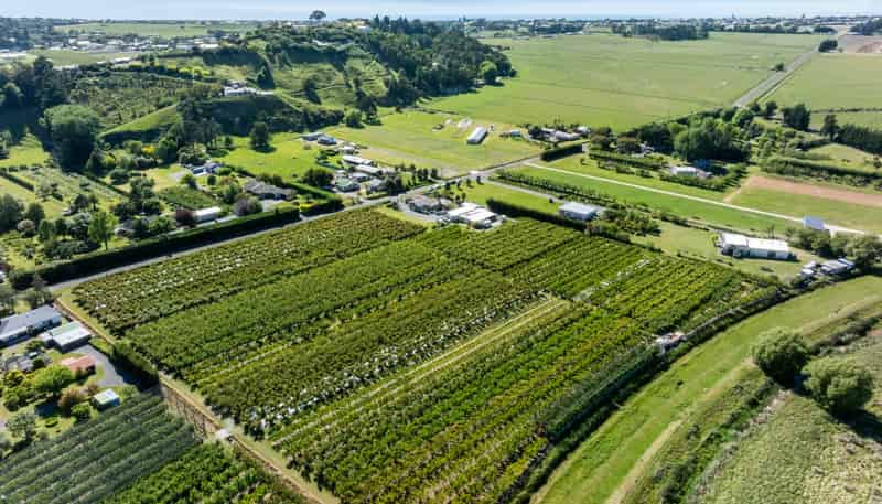 209 Onehunga Road, Bay View