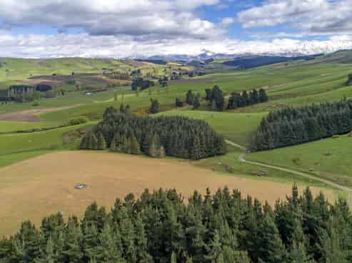 1537 Geraldine-Fairlie Highway , Fairlie