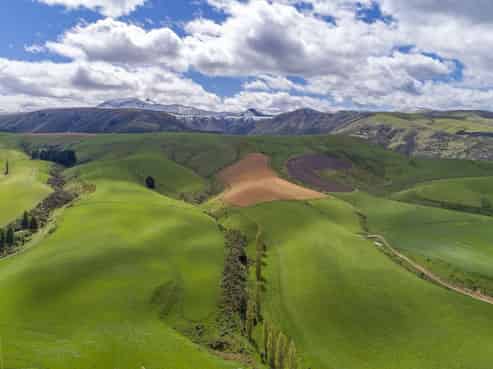 1537 Geraldine-Fairlie Highway , Fairlie