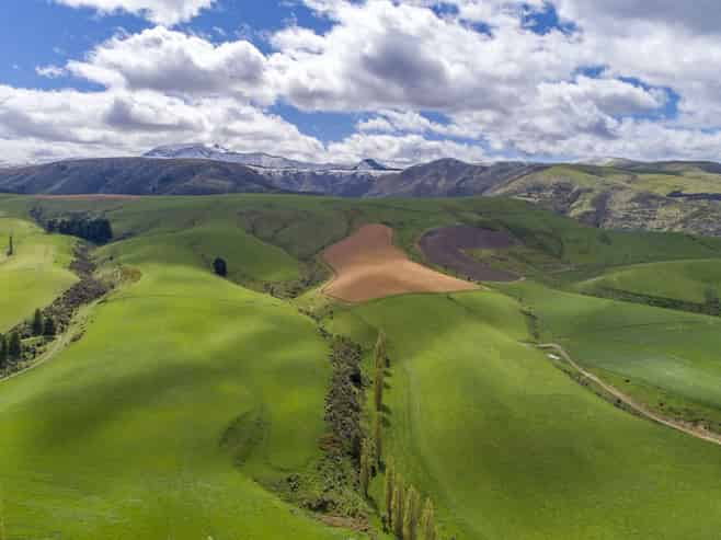 1537 Geraldine-Fairlie Highway , Fairlie