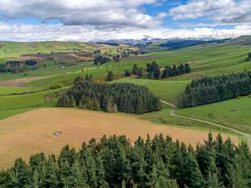 1537 Geraldine-Fairlie Highway, Fairlie