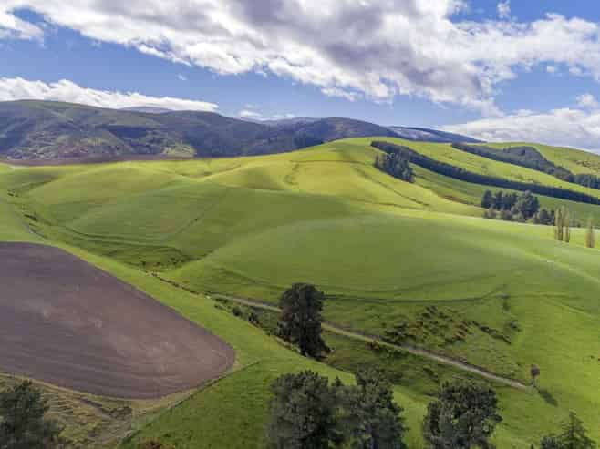 1537 Geraldine-Fairlie Highway , Fairlie