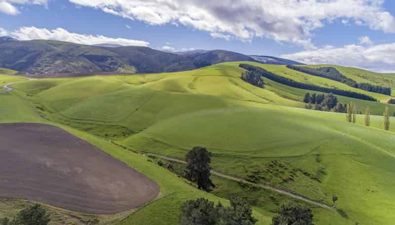 1537 Geraldine-Fairlie Highway , Fairlie