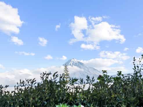 12 Barclay Street, Ferndale