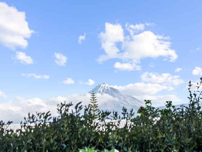 12 Barclay Street, Ferndale