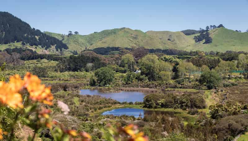 91 Koutunui Road, Athenree