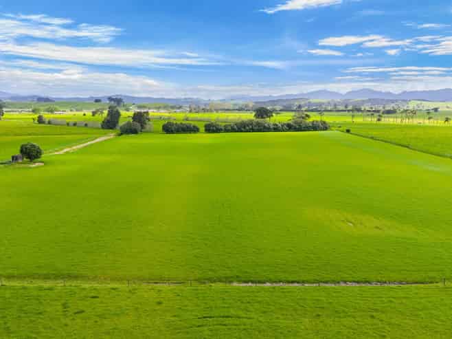 125 Awakino Point East Road, Dargaville