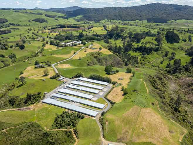 Waikato - Address withheld