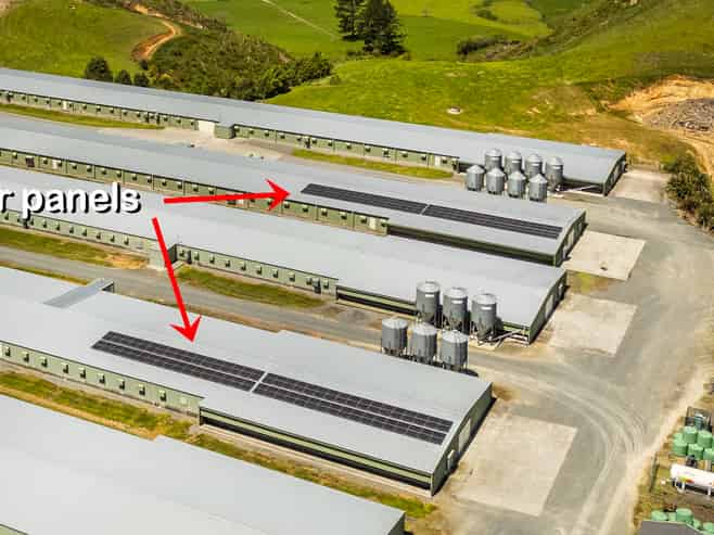 Waikato - Address withheld