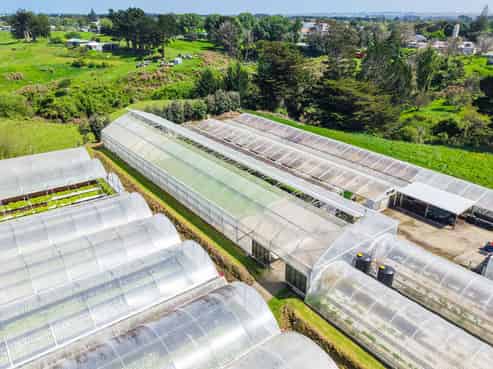 Hydroponic business, home and lifestyle