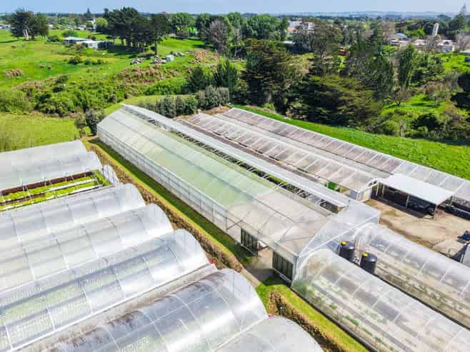 Hydroponic business, home and lifestyle