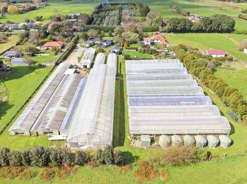 Hydroponic business, home and lifestyle