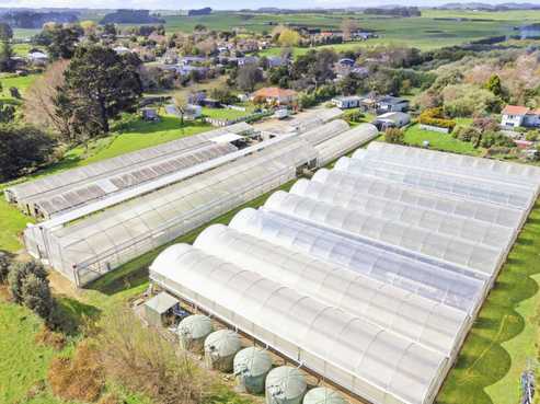 Hydroponic business, home and lifestyle