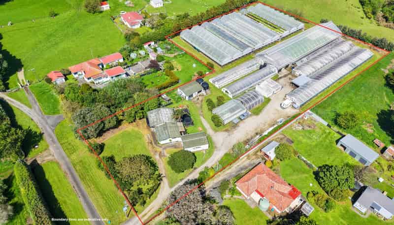 16 Lupton Street, Waverley