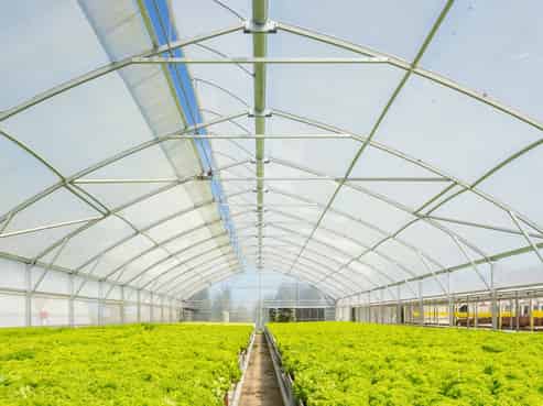 Hydroponic business, home and lifestyle