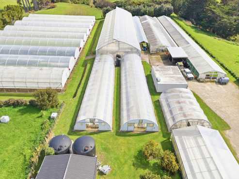 Hydroponic business, home and lifestyle