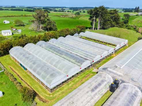 Hydroponic business, home and lifestyle