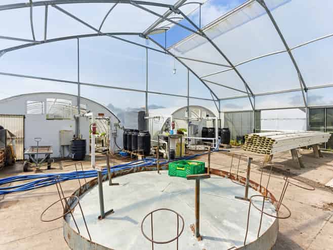 Hydroponic business, home and lifestyle