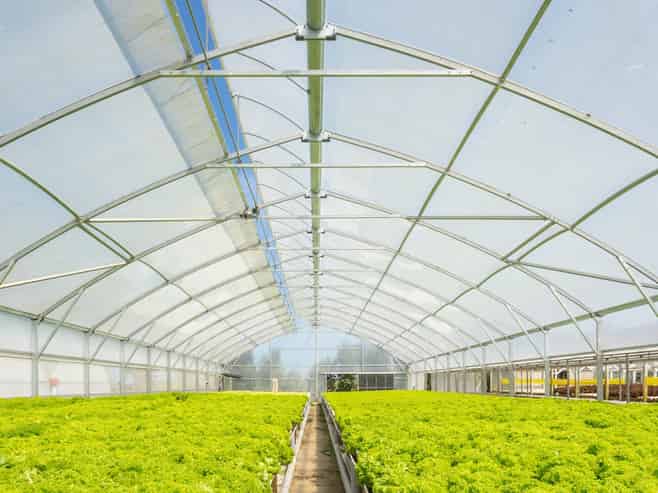 Hydroponic business, home and lifestyle