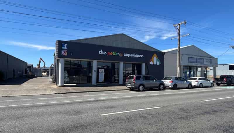 62 Austin Street, Onekawa