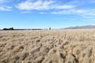 423 Manuka Terrace, Twizel, Mackenzie, Canterbury