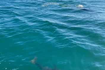 Lot 1/106 South Pacific Road, Rakino Island