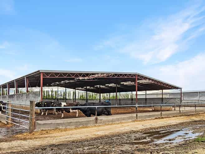 119 The Crescent Road, Kaitangata