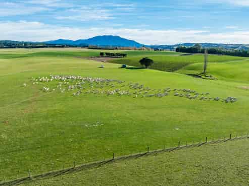 897 Marshmans Road, Sefton