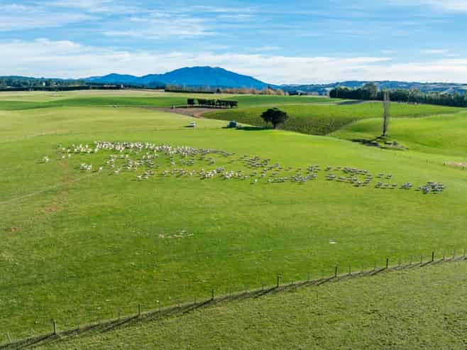 897 Marshmans Road, Sefton