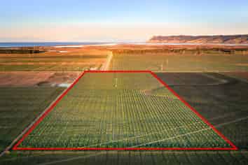 91 Eckfords Road, Blenheim