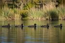 163 Okere Road, Okere Falls, Rotorua, Bay of Plenty