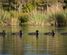 163 Okere Road, Okere Falls, Rotorua, Bay of Plenty