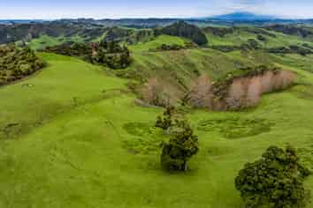 59 Tawhiwhi Road, Matau