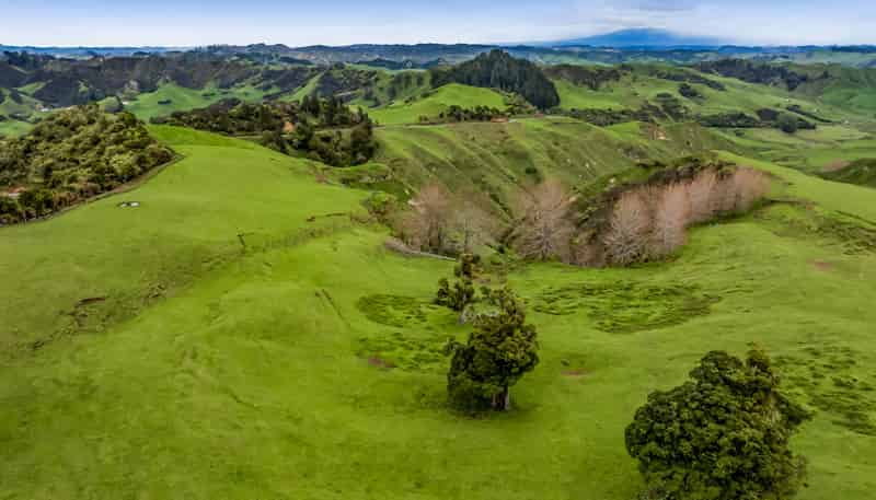 59 Tawhiwhi Road, Matau