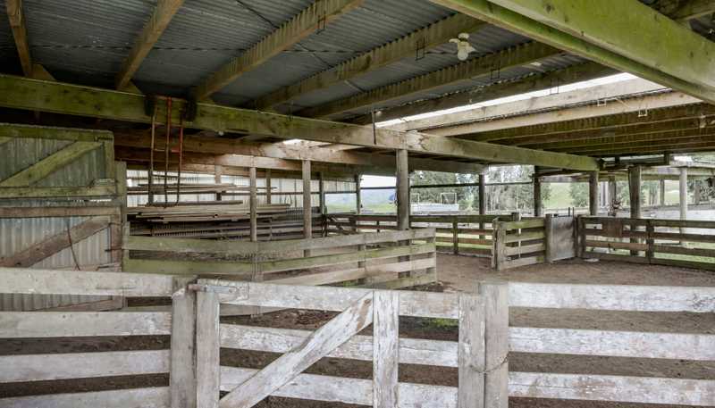 59 Tawhiwhi Road, Matau