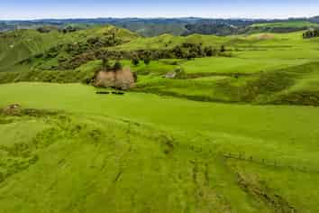 59 Tawhiwhi Road, Matau