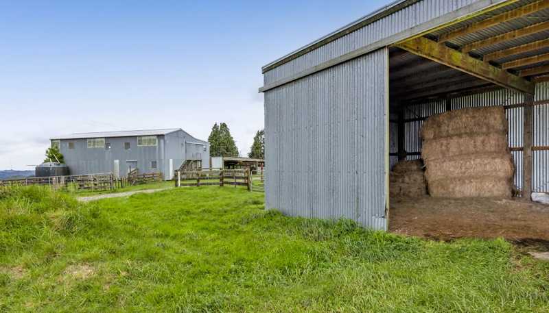 59 Tawhiwhi Road, Matau